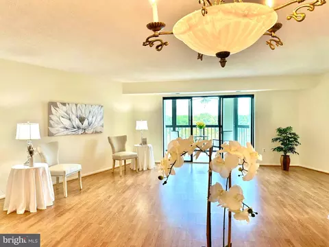 15101 Interlachen Dr #1-903, Silver Spring, MD 20906 photo 5