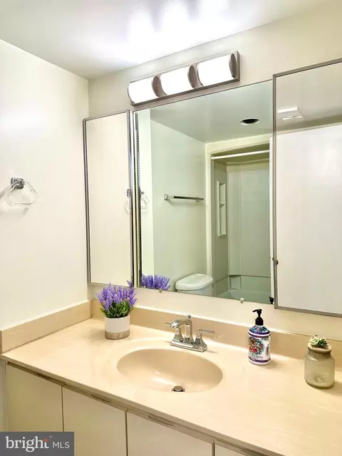 15101 Interlachen Dr #1-903, Silver Spring, MD 20906 photo 31