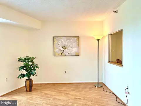 15101 Interlachen Dr #1-903, Silver Spring, MD 20906 photo 10