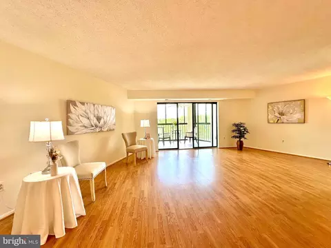 15101 Interlachen Dr #1-903, Silver Spring, MD 20906 photo 9