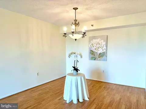 15101 Interlachen Dr #1-903, Silver Spring, MD 20906 photo 6