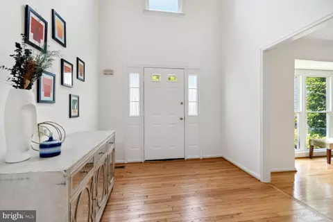 11425 Catalina Ter, Silver Spring, MD 20902 photo 3