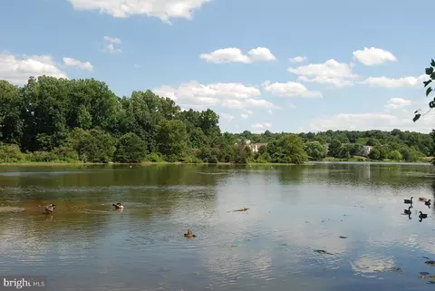 View/Area - 924 Pointer Ridge Dr, Gaithersburg, MD 20878 photo 3 of 4