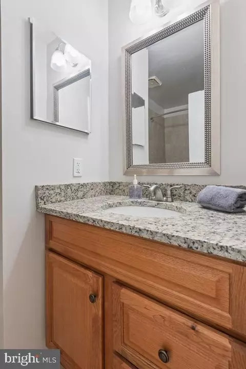 Bath - 13219 Rippling Brook Dr, Silver Spring, MD 20906 photo 4 of 6