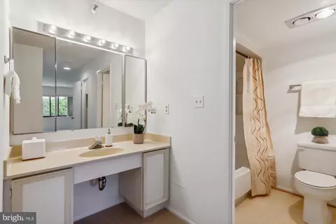 15101 Interlachen Dr #1-407, Silver Spring, MD 20906 photo 20