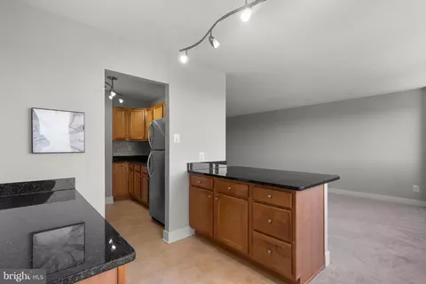 1220 Blair Mill Rd #901, Silver Spring, MD 20910 photo 5
