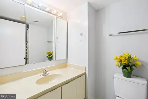15115 Interlachen Dr N #3-320, Silver Spring, MD 20906 photo 34