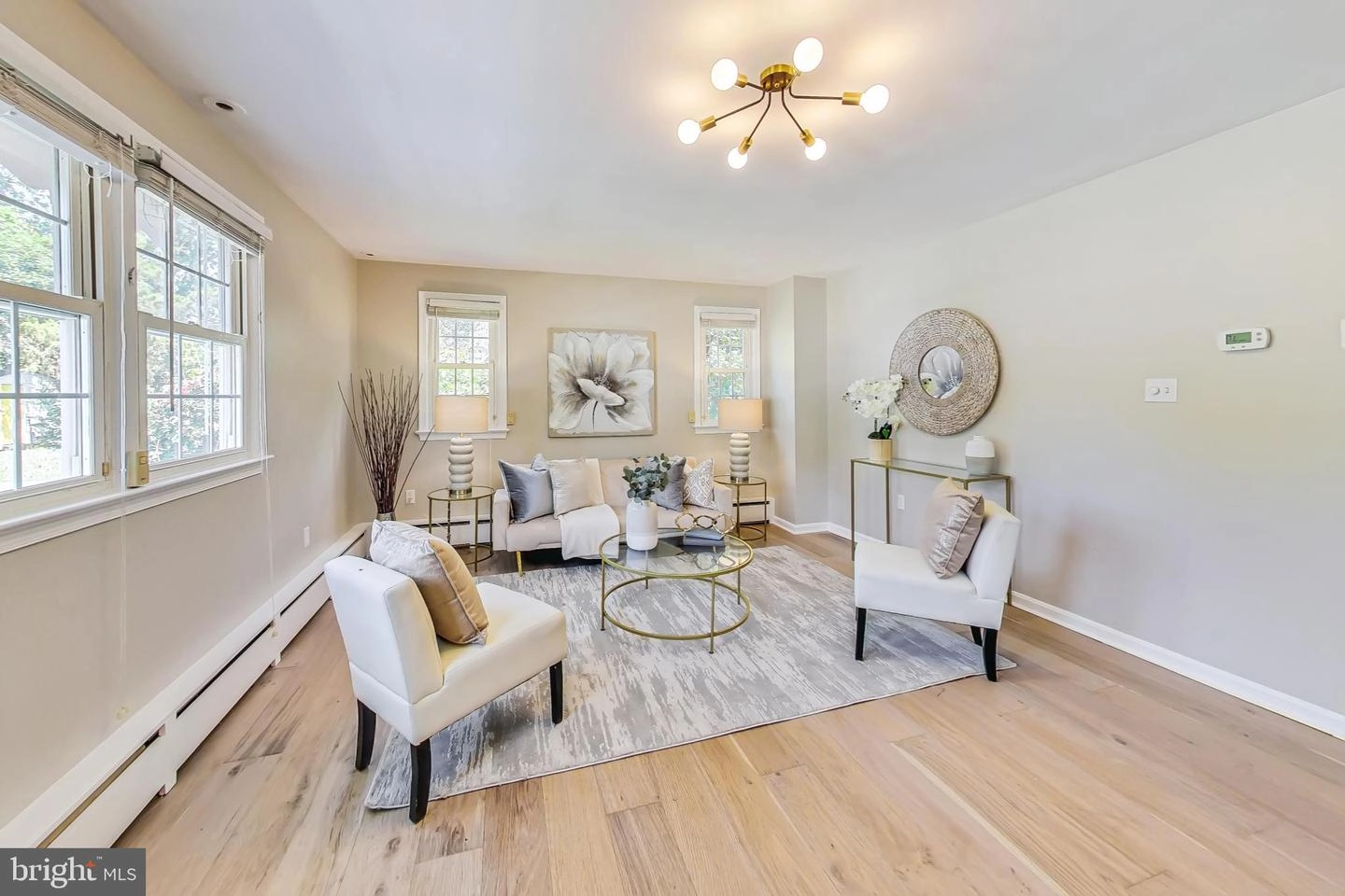Living - 10118 Mckenney Ave, Silver Spring, MD 20902 photo 1 of 3