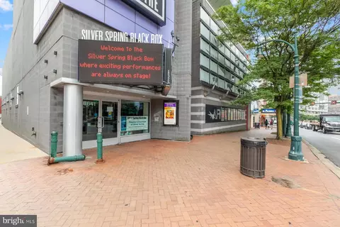 410 Brewster Ave, Silver Spring, MD 20901 photo 41