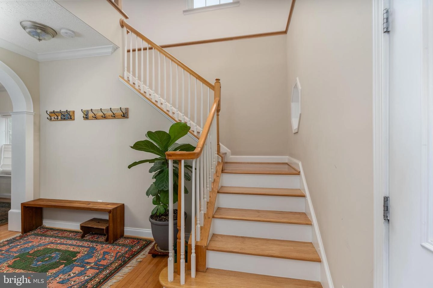 Entry Way - 10009 Menlo Ave, Silver Spring, MD 20910 photo 6 of 8