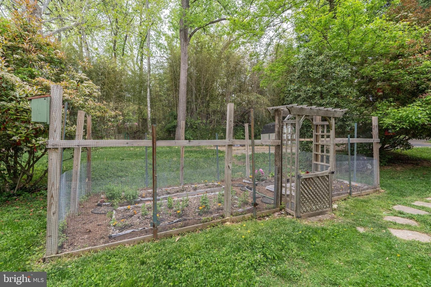Exterior - 10009 Menlo Ave, Silver Spring, MD 20910 photo 19 of 21