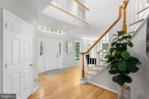 1704 Ladd St, Silver Spring, MD 20902 photo 4