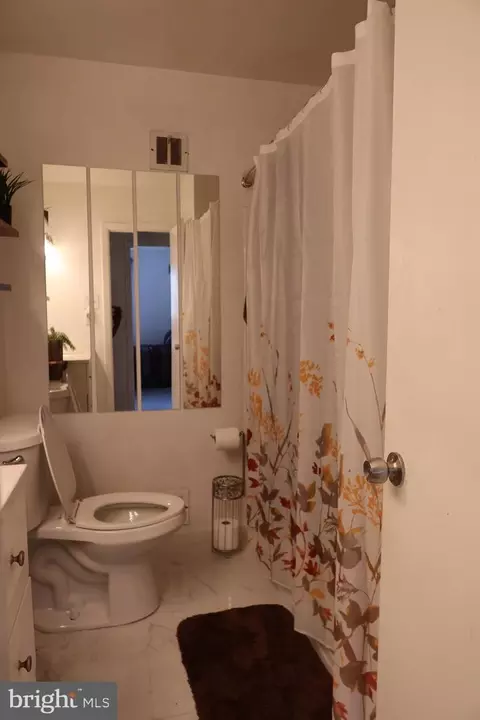 Bath - 808 Downs Dr, Silver Spring, MD 20904 photo 3 of 6