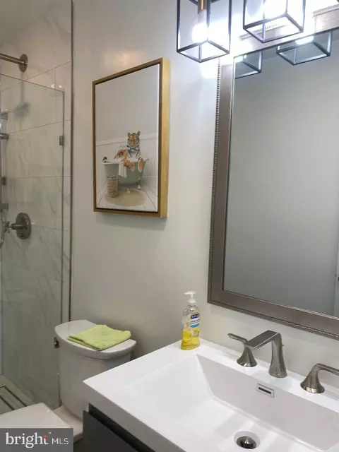 14 Normandy Square Ct #3 B D, Silver Spring, MD 20906 photo 17
