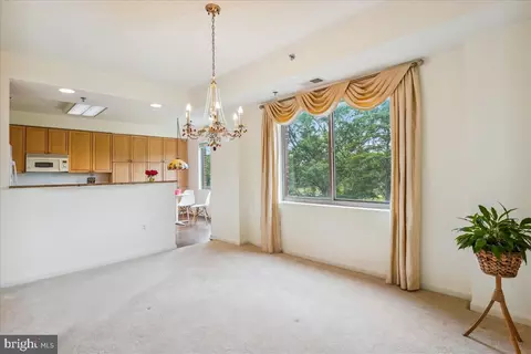 3100 N Leisure World Blvd #221, Silver Spring, MD 20906 photo 9