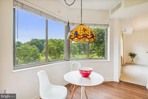 3100 N Leisure World Blvd #221, Silver Spring, MD 20906 photo 5