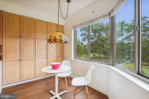 3100 N Leisure World Blvd #221, Silver Spring, MD 20906 photo 7