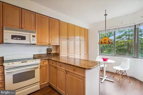 3100 N Leisure World Blvd #221, Silver Spring, MD 20906 photo 4
