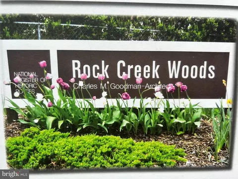 3607 Spruell Dr, Silver Spring, MD 20902 photo 43