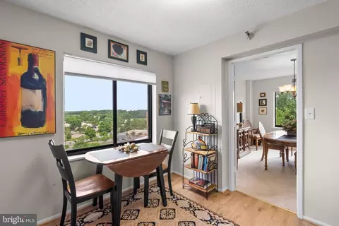 3310 N Leisure World Blvd #927, Silver Spring, MD 20906 photo 13