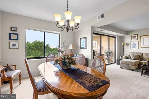 3310 N Leisure World Blvd #927, Silver Spring, MD 20906 photo 9