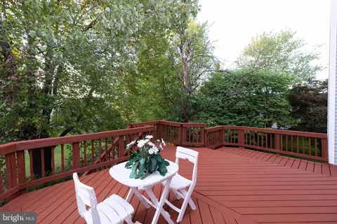 14812 Cherry Leaf Ter, Silver Spring, MD 20906 photo 30