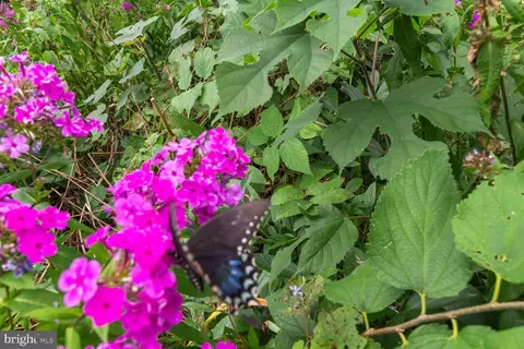 Other - 18221 Barnesville Rd, Barnesville, MD 20838 photo 11 of 14