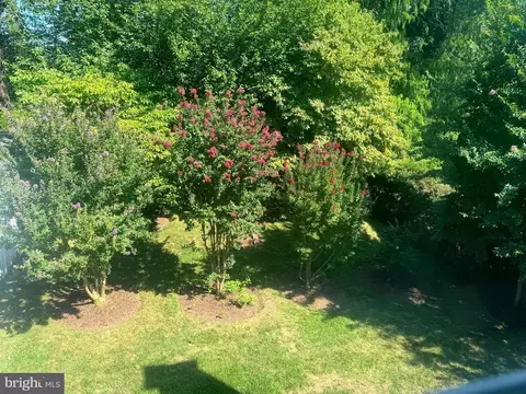 807 Bonifant St, Silver Spring, MD 20910 photo 11