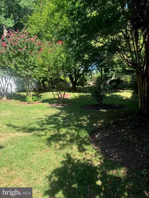 807 Bonifant St, Silver Spring, MD 20910 photo 8