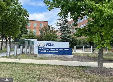 Exterior - 1303 Xaveria Dr, Silver Spring, MD 20903 photo 4 of 4
