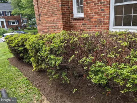 304 Mansfield Rd, Silver Spring, MD 20910 photo 29