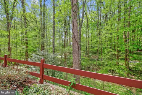 11621 Springridge Rd, Potomac, MD 20854 photo 41