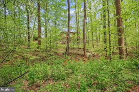 11621 Springridge Rd, Potomac, MD 20854 photo 43