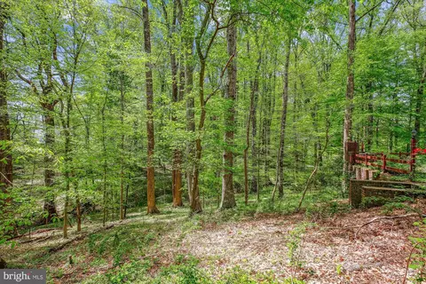 11621 Springridge Rd, Potomac, MD 20854 photo 40