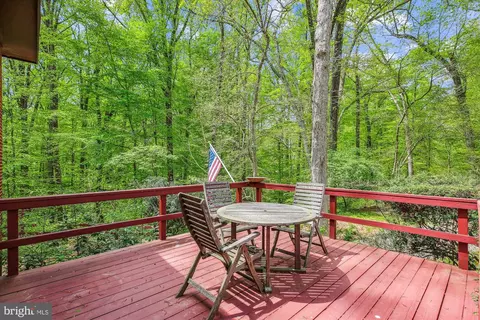11621 Springridge Rd, Potomac, MD 20854 photo 17