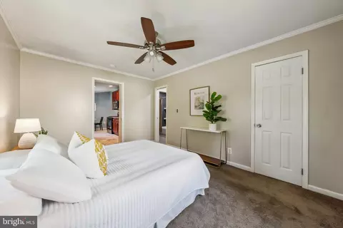 11903 Dewey Rd, Silver Spring, MD 20906 photo 13