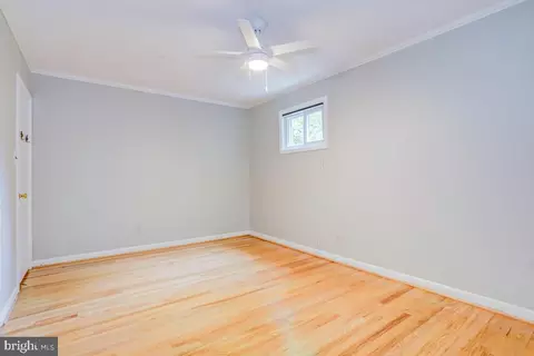 9742 Hedin Dr, Silver Spring, MD 20903 photo 12