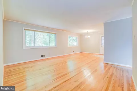 9742 Hedin Dr, Silver Spring, MD 20903 photo 3