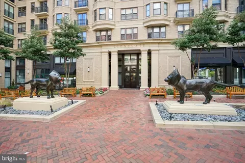 7710 Woodmont Ave #303, Bethesda, MD 20814