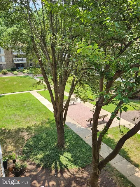 3232 Hewitt Ave #14, Silver Spring, MD 20906 photo 6