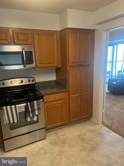 15100 Interlachen Dr #4-211, Silver Spring, MD 20906 photo 5