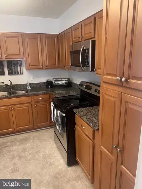15100 Interlachen Dr #4-211, Silver Spring, MD 20906 photo 7