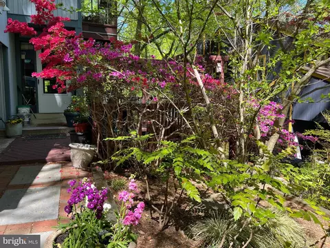 Exterior - 304 Mississippi Ave, Silver Spring, MD 20910 photo 21 of 25