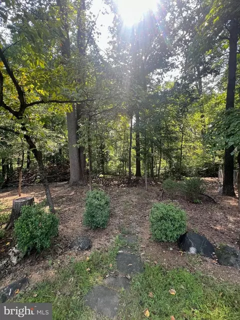 13111 Collingwood Ter, Silver Spring, MD 20904 photo 3