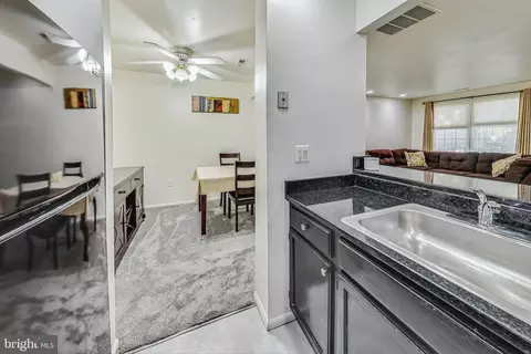 13162 Musicmaster Dr #145, Silver Spring, MD 20904 photo 13