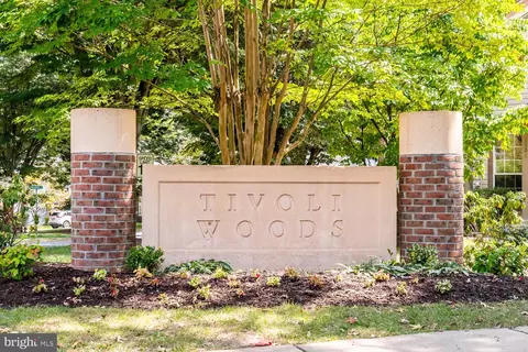 Other - 13518 Redspire Dr, Silver Spring, MD 20906 photo 25 of 31