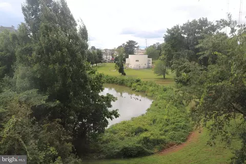 View/Area - 2057 Westchester Dr #55, Silver Spring, MD 20902 photo 1 of 1