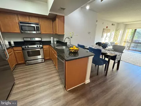 7915 Eastern Ave #408, Silver Spring, MD 20910 photo 8