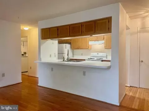 14203 Woolen Oak Ct #8-31, Silver Spring, MD 20906 photo 8