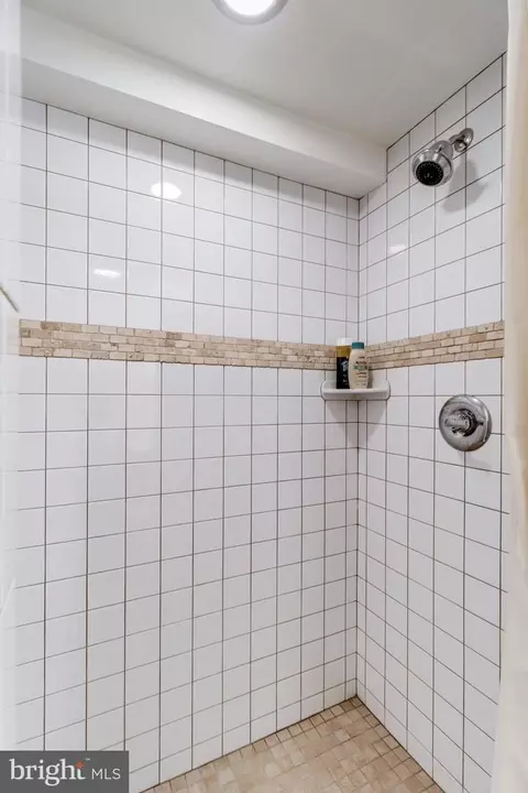 Bath - 709 Brantford Ave, Silver Spring, MD 20904 photo 10 of 10